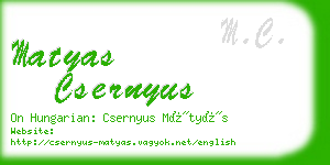 matyas csernyus business card